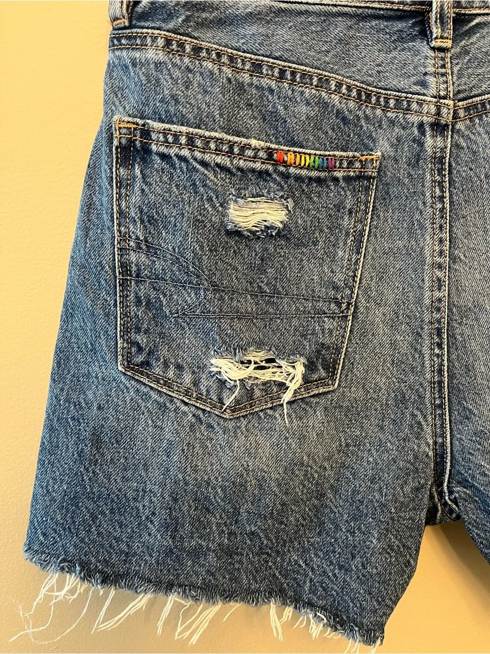 American Eagle Highest Rise Baggy Short Pride Edition Women's Size 4 Rainbow